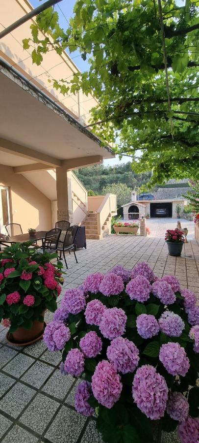 Apartman Anka Palit Kültér fotó